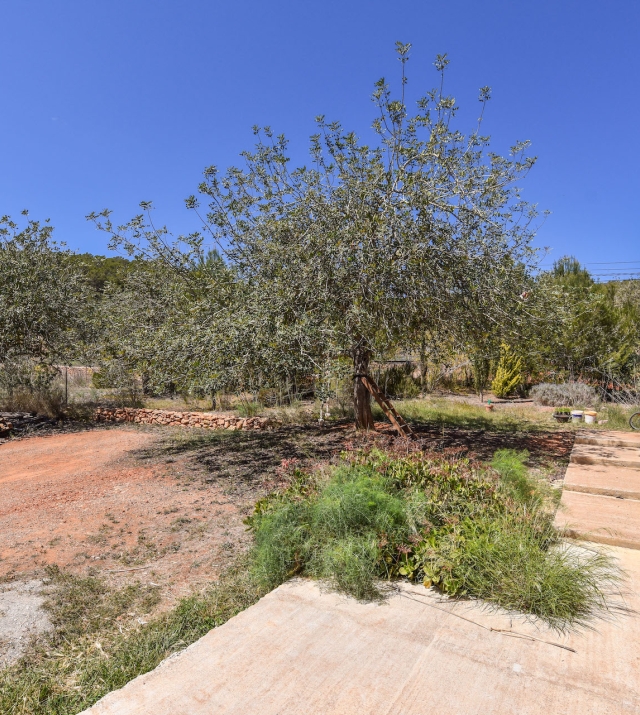 Resa Estate finc for sale Ibiza santa gertrudis te koop spanje side and garden.jpg